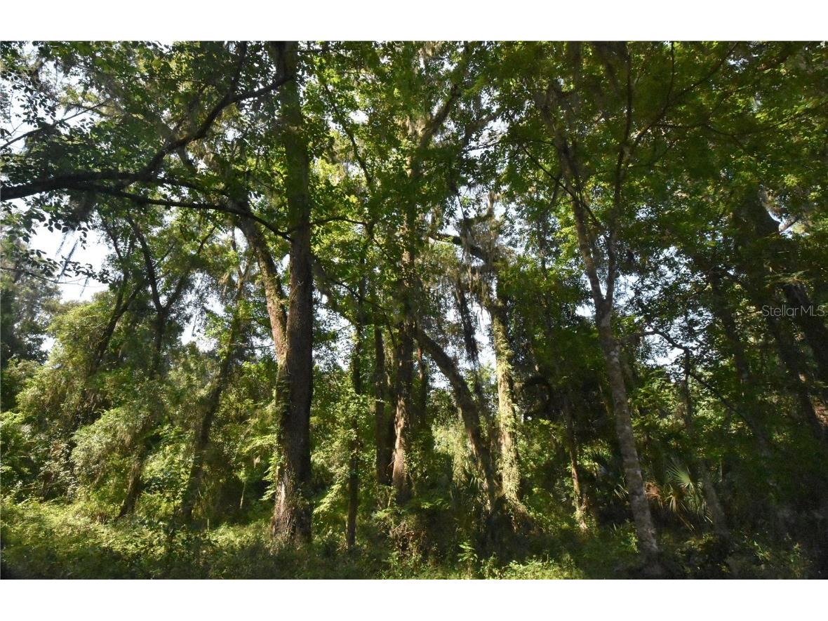 15208 SW Williston Rd Micanopy FL 32667 GC514410 image33