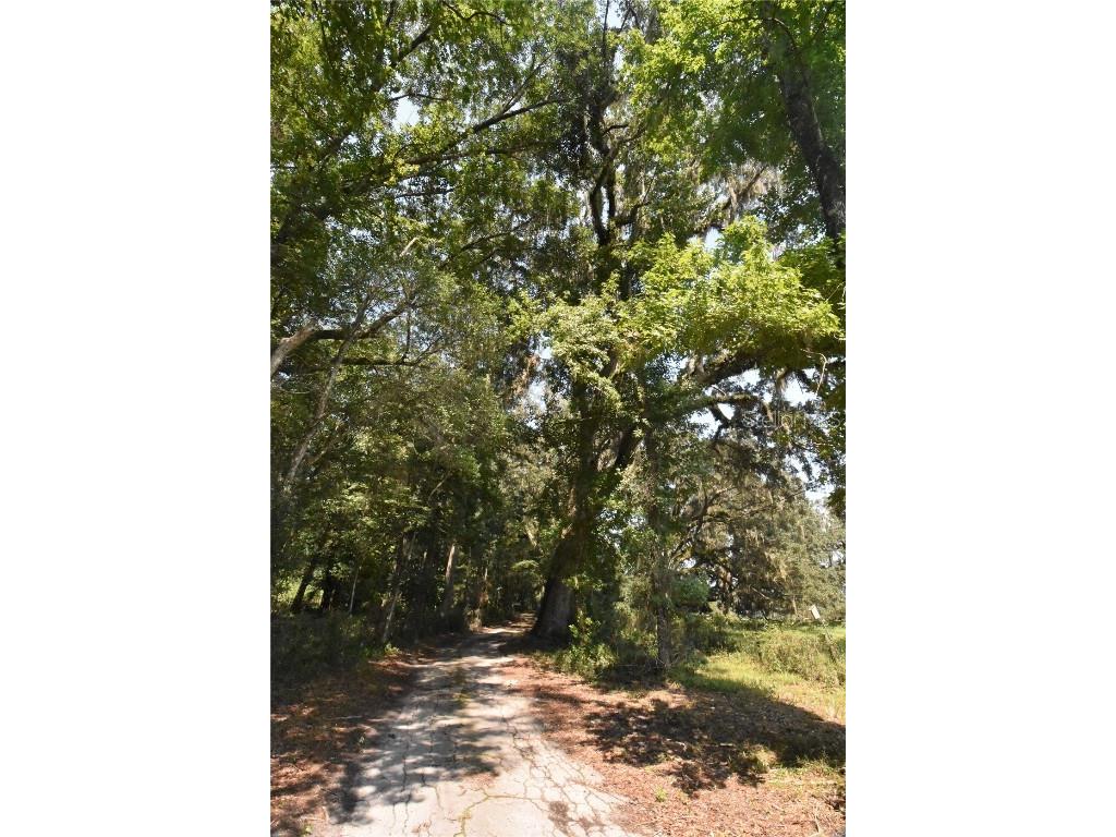 15208 SW Williston Rd Micanopy FL 32667 GC514410 image34