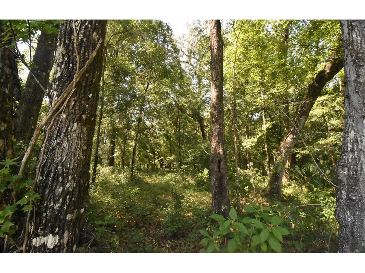 15208 SW Williston Rd Micanopy FL 32667 GC514410 image35