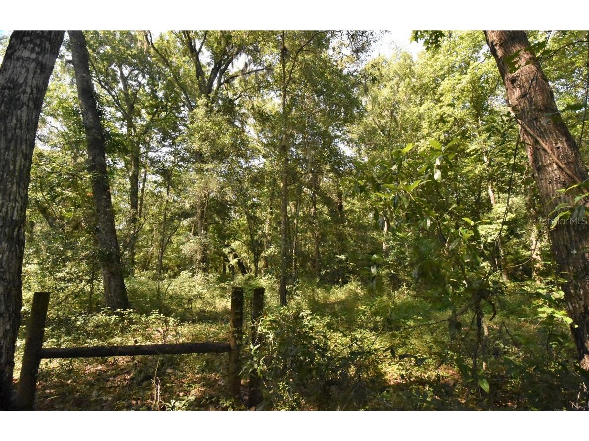 15208 SW Williston Rd Micanopy FL 32667 GC514410 image36