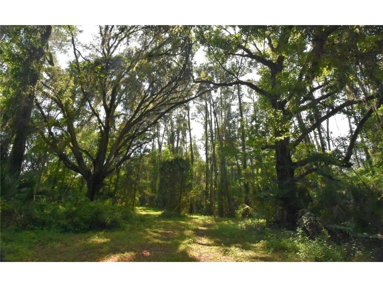 15208 SW Williston Rd Micanopy FL 32667 GC514410 image37