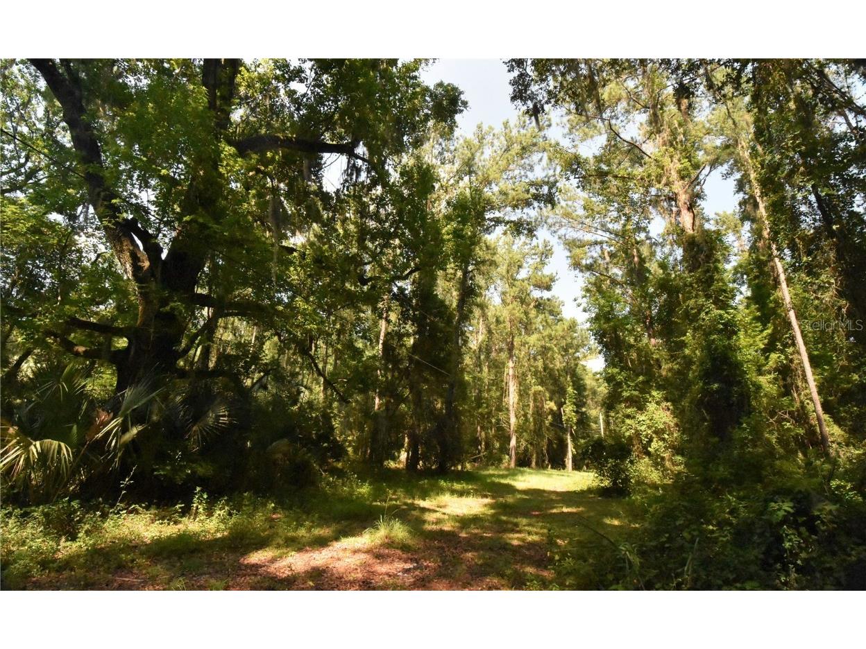 15208 SW Williston Rd Micanopy FL 32667 GC514410 image38