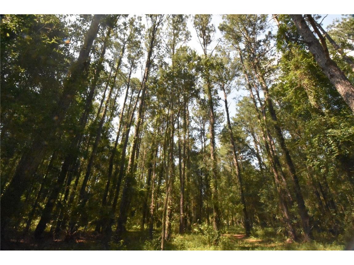 15208 SW Williston Rd Micanopy FL 32667 GC514410 image39