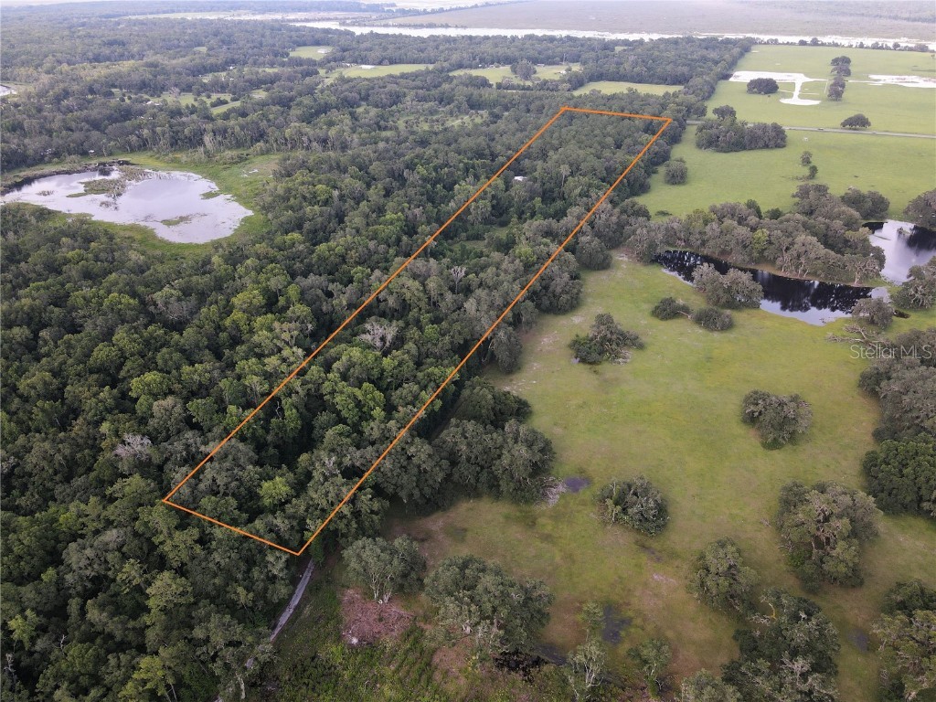 15208 SW Williston Rd Micanopy FL 32667 GC514410 image4
