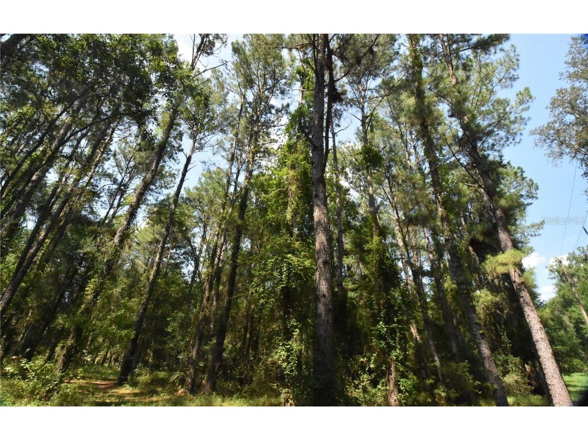 15208 SW Williston Rd Micanopy FL 32667 GC514410 image40