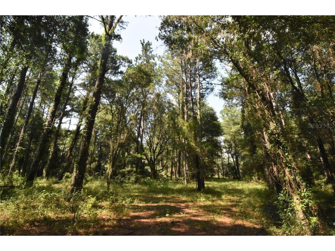 15208 SW Williston Rd Micanopy FL 32667 GC514410 image41
