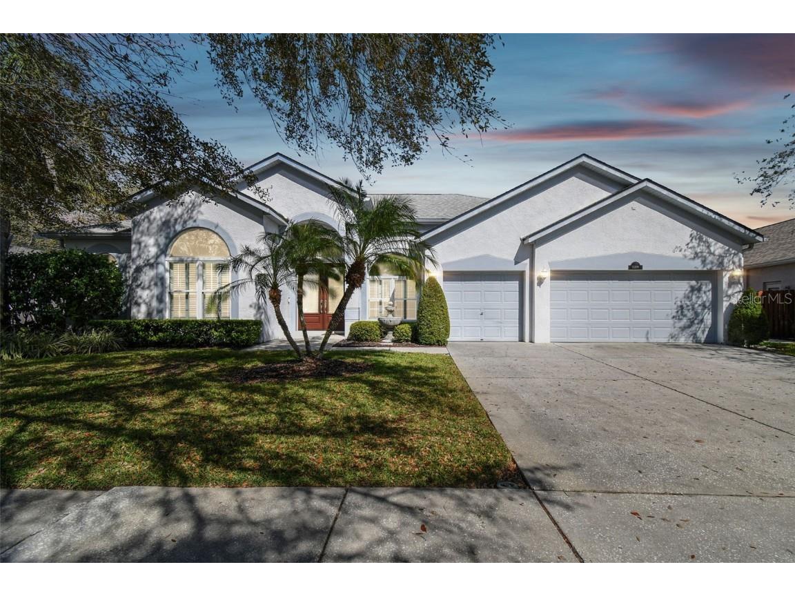15209 Hammock Chase Court Odessa FL 33556 TB8403357 image1