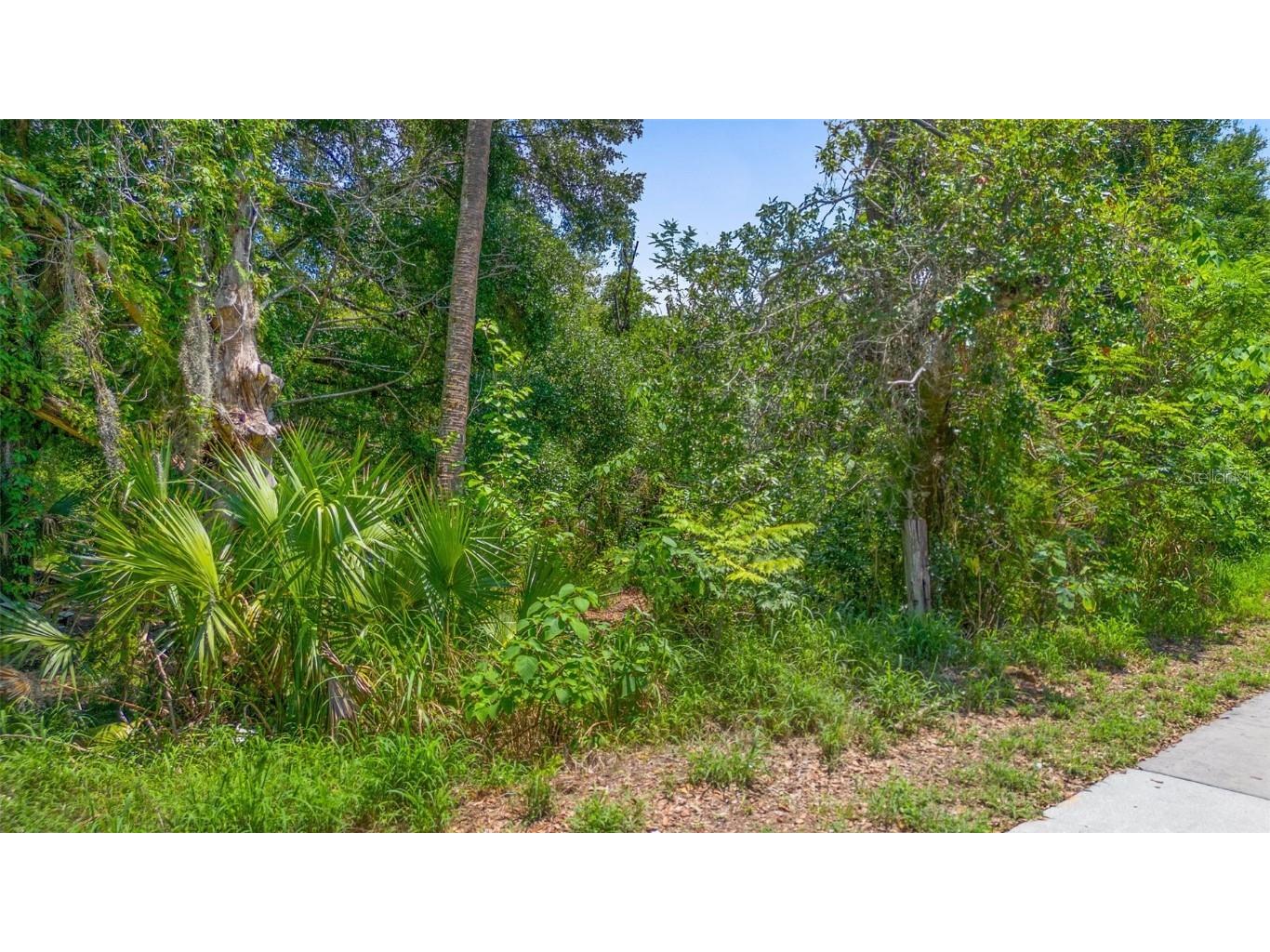 1521 Clarcona Road Apopka FL 32703 O6308255 image1