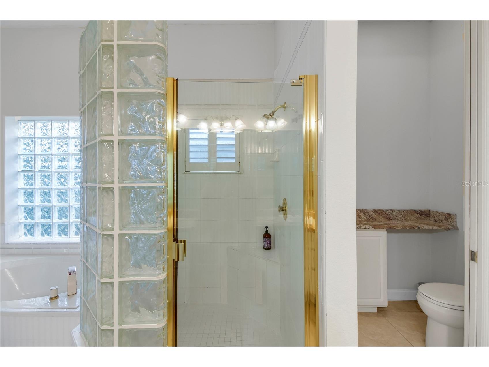 1521 Edgewater Drive Mount Dora FL 32757 O6339213 image32