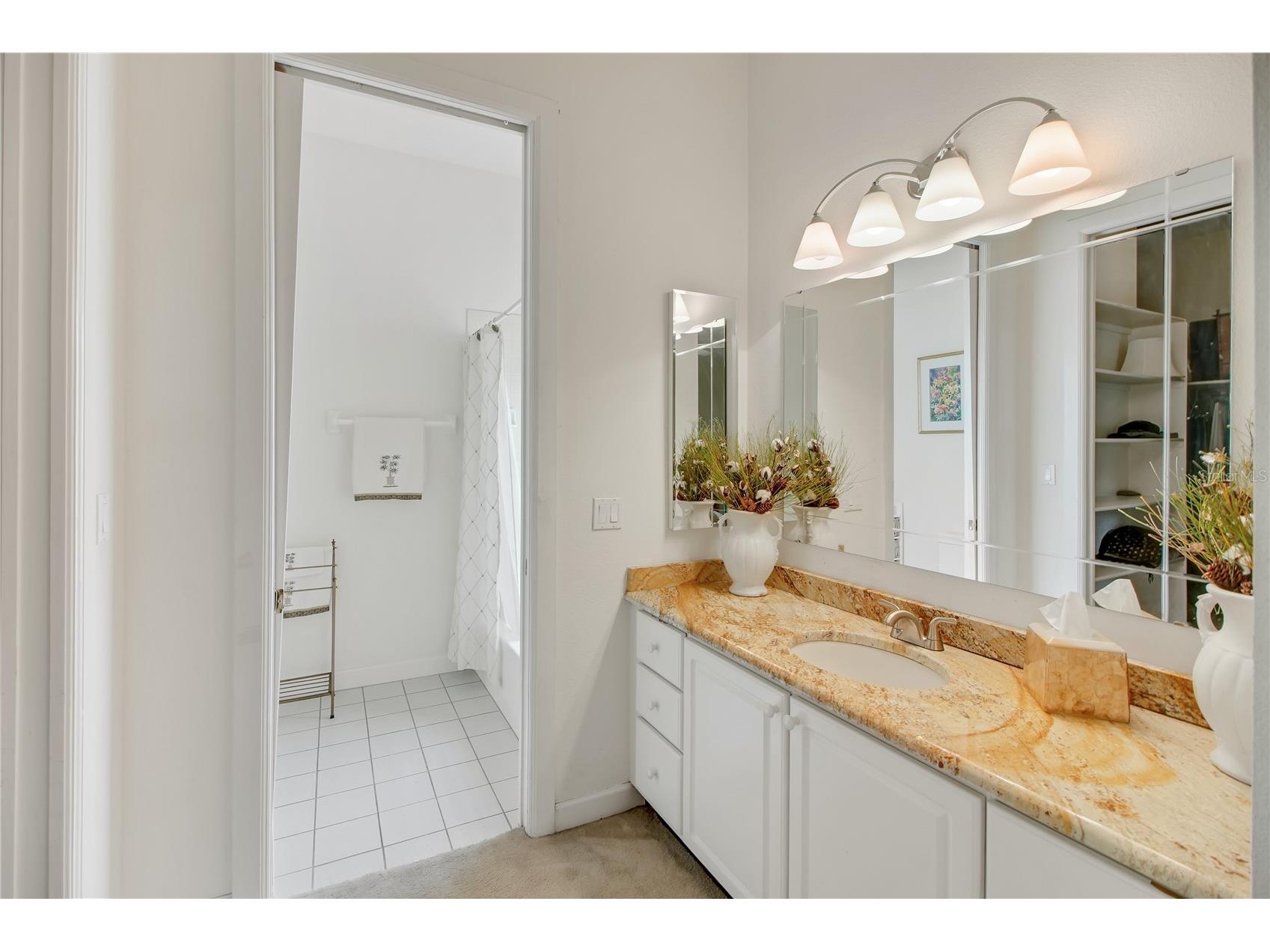 1521 Edgewater Drive Mount Dora FL 32757 O6339213 image62