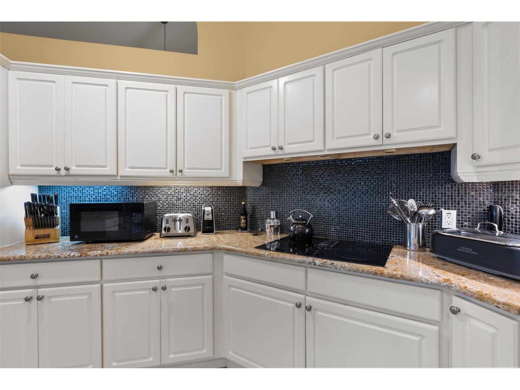 1521 Edgewater Drive Mount Dora FL 32757 O6414817 image17