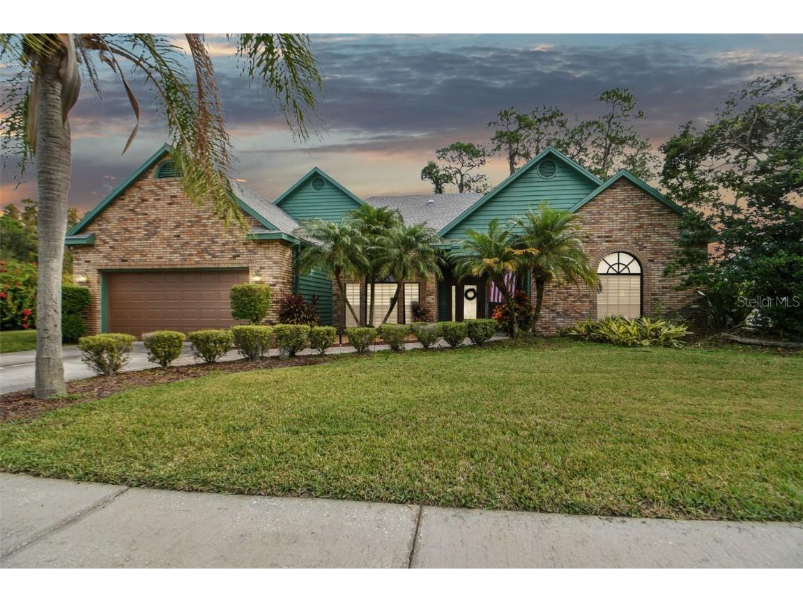 1521 Holleman Drive Valrico FL 33596 T3490897 image1