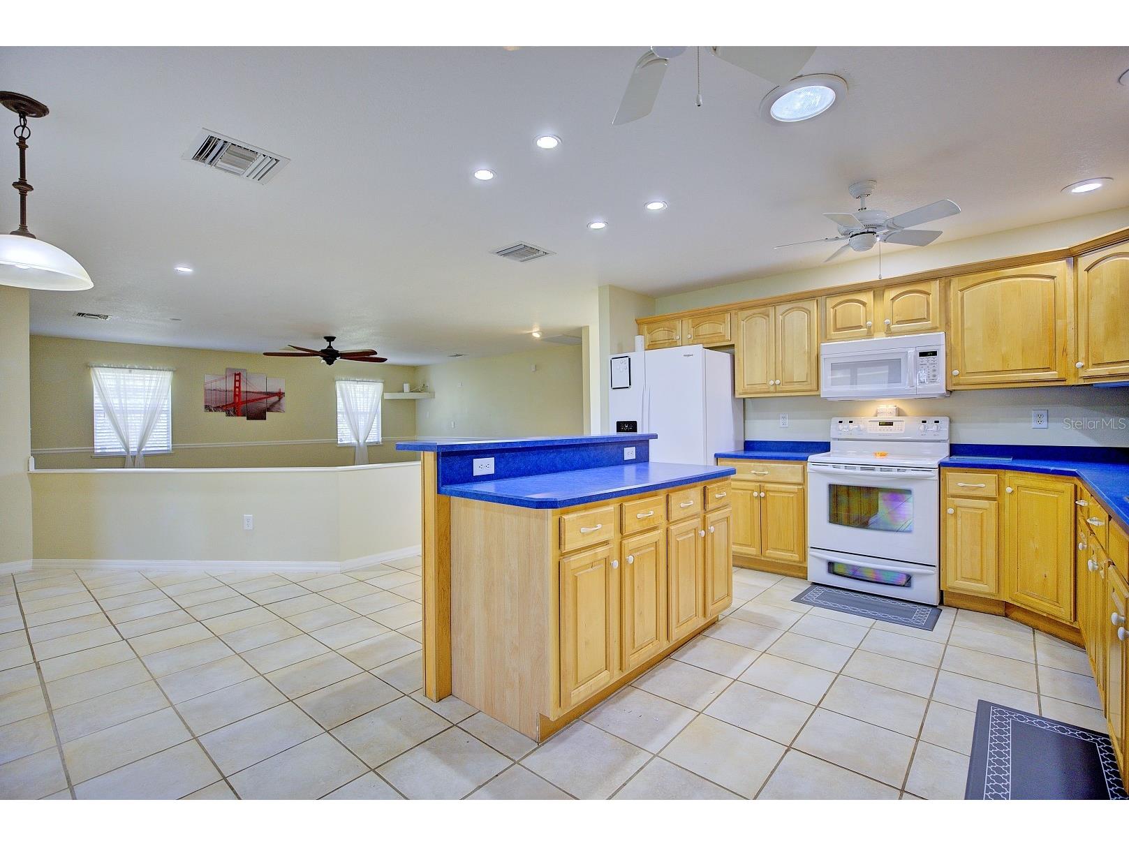 1521 Lancia Avenue Sebring FL 33872 L4960085 image13