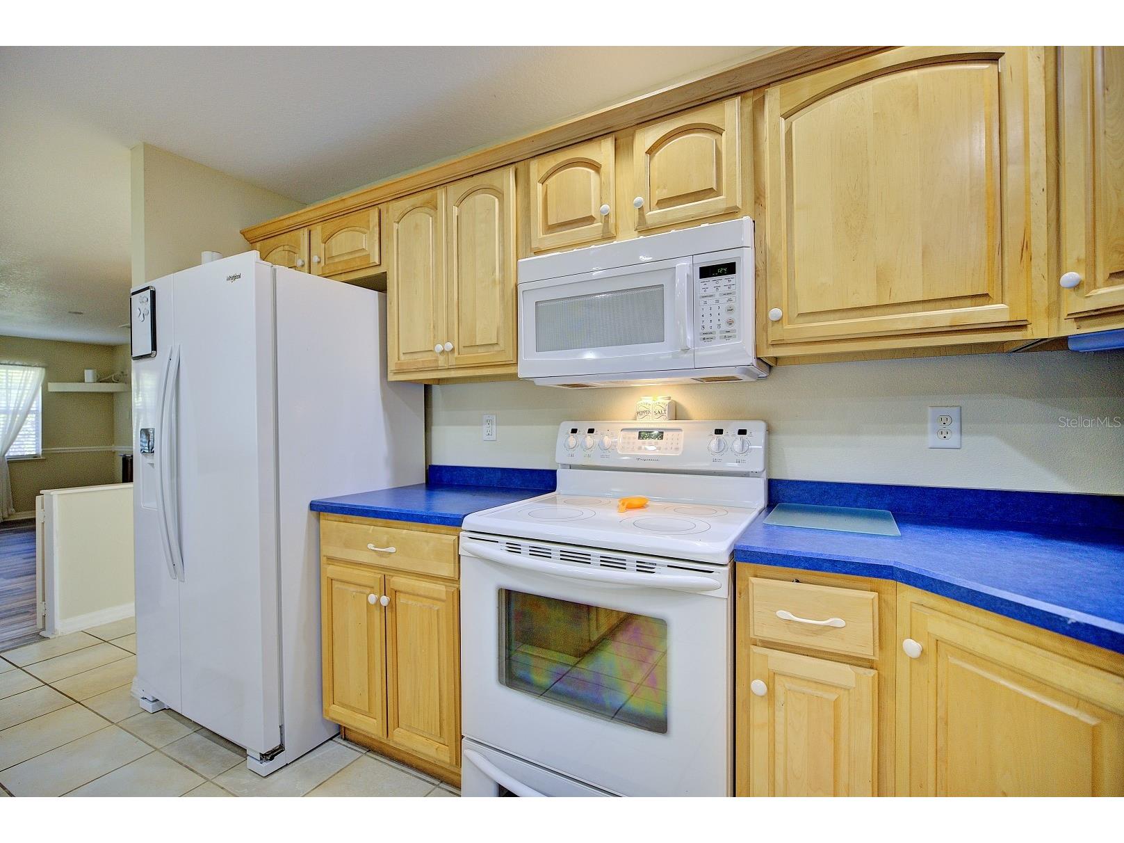 1521 Lancia Avenue Sebring FL 33872 L4960085 image14