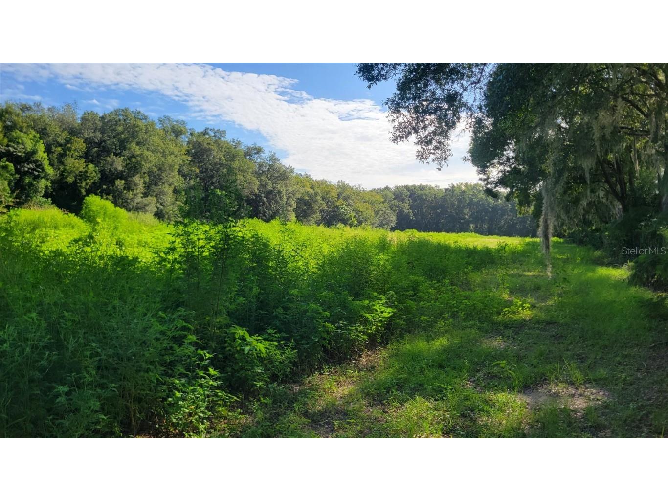 1521 NW 27th Avenue Ocala FL 34475 GC533731 image4