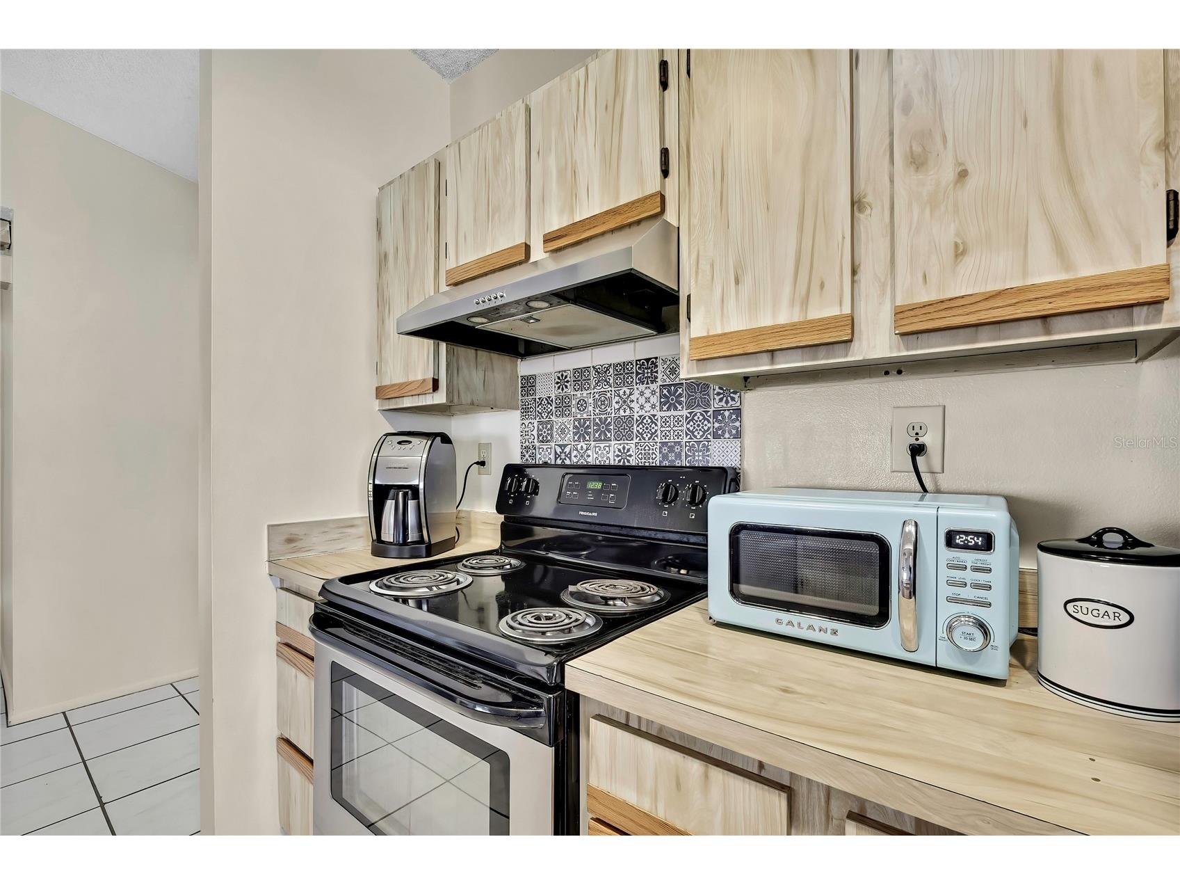 1521 Piney Branch Circle Valrico FL 33594 TB8469750 image12