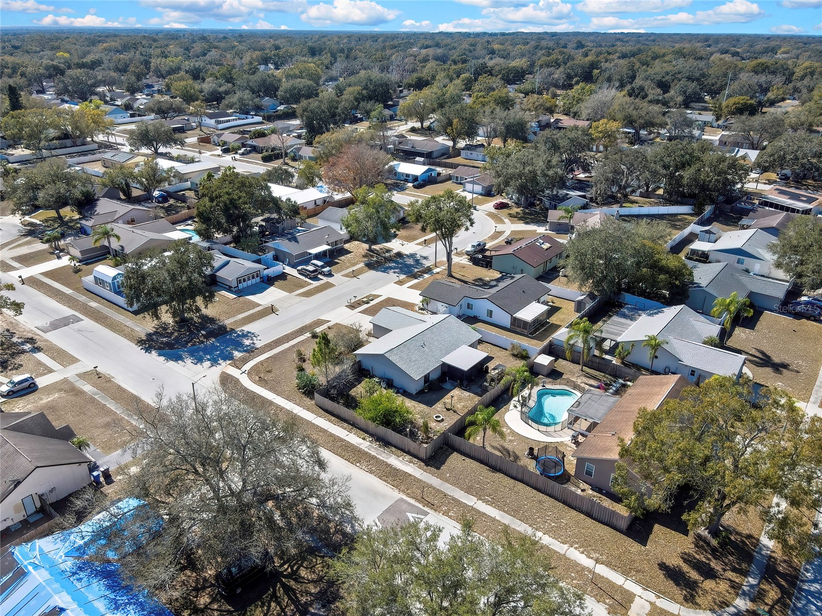 1521 Piney Branch Circle Valrico FL 33594 TB8469750 image41