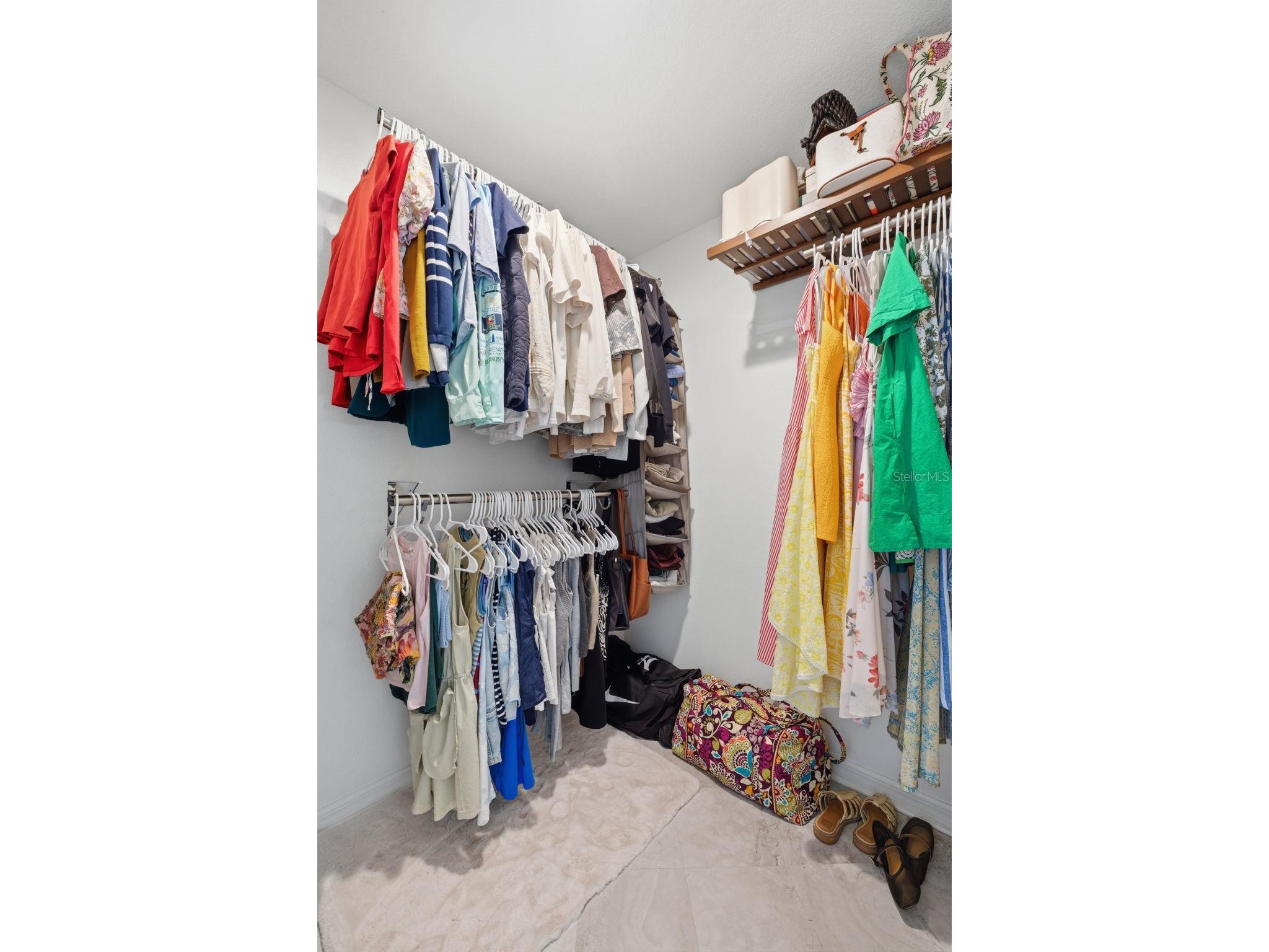 1521 Waterwood Drive Lutz FL 33559 TB8514856 image20