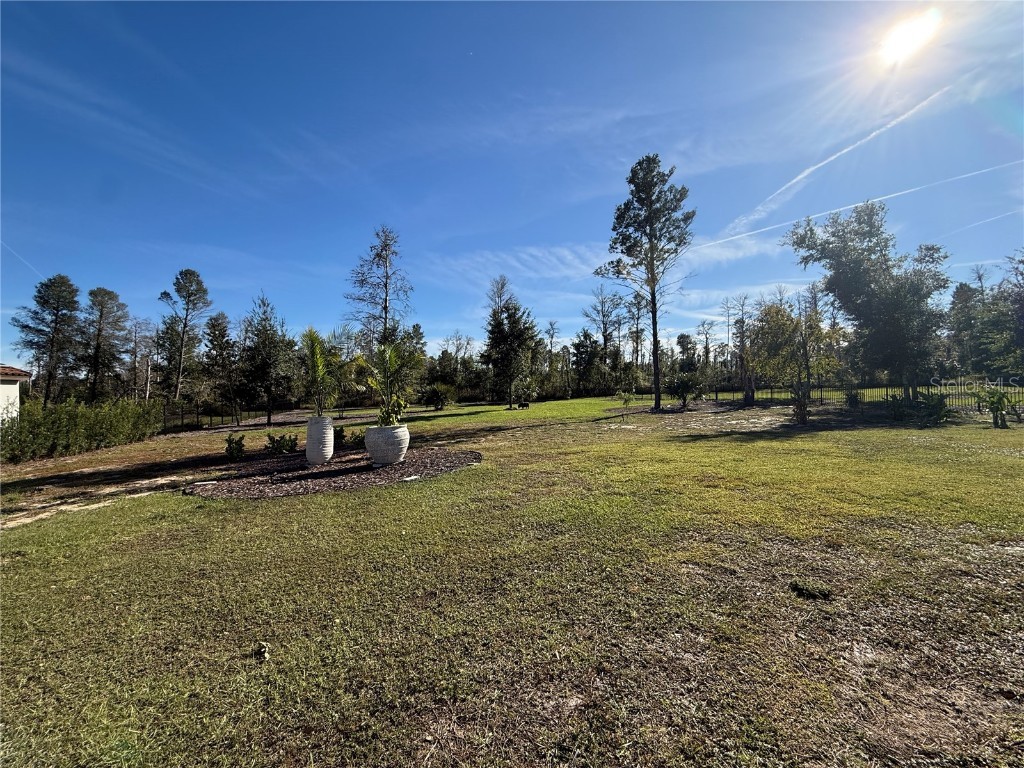 15210 Pendio Drive Montverde FL 34756 O6360134 image86