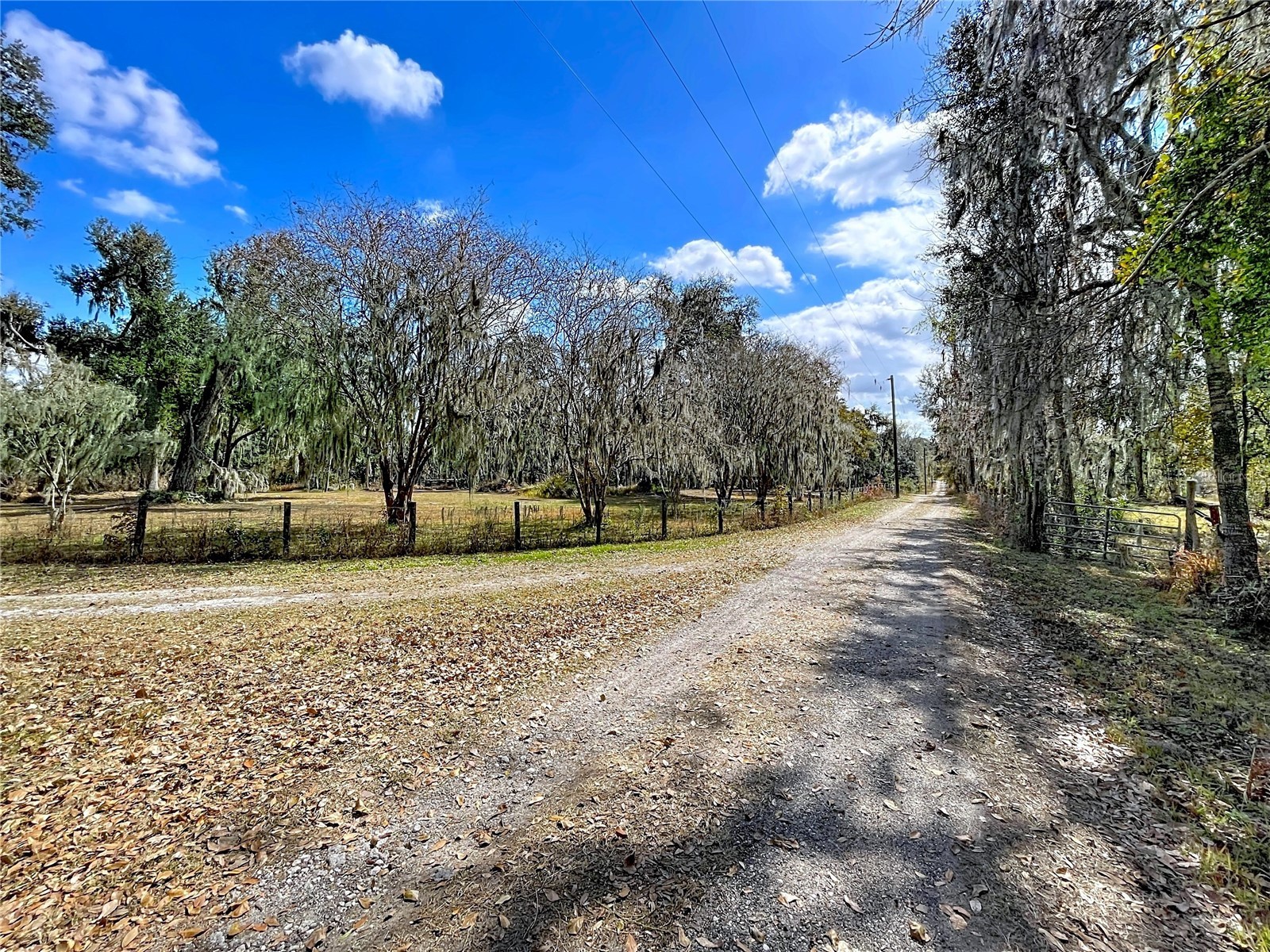 15210 Rough Diamond Ranch Road Lithia FL 33547 B4902190 image19