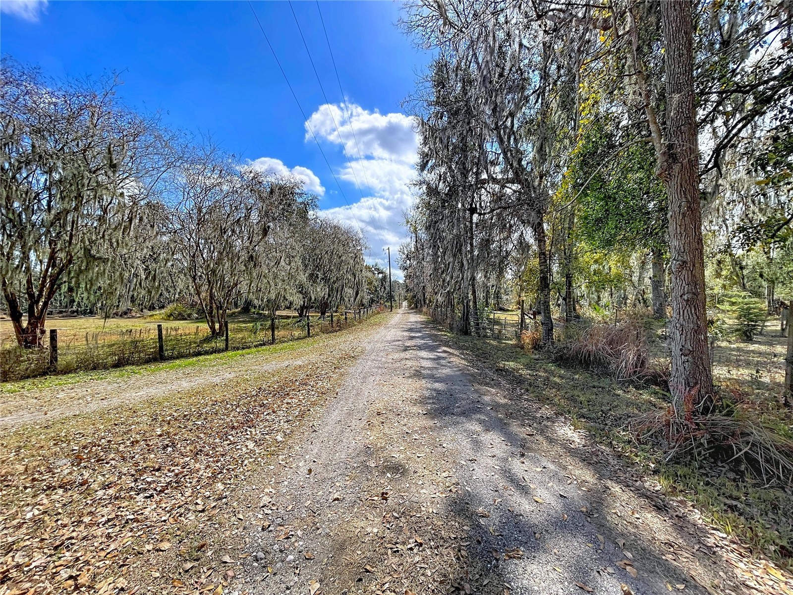 15210 Rough Diamond Ranch Road Lithia FL 33547 B4902190 image20