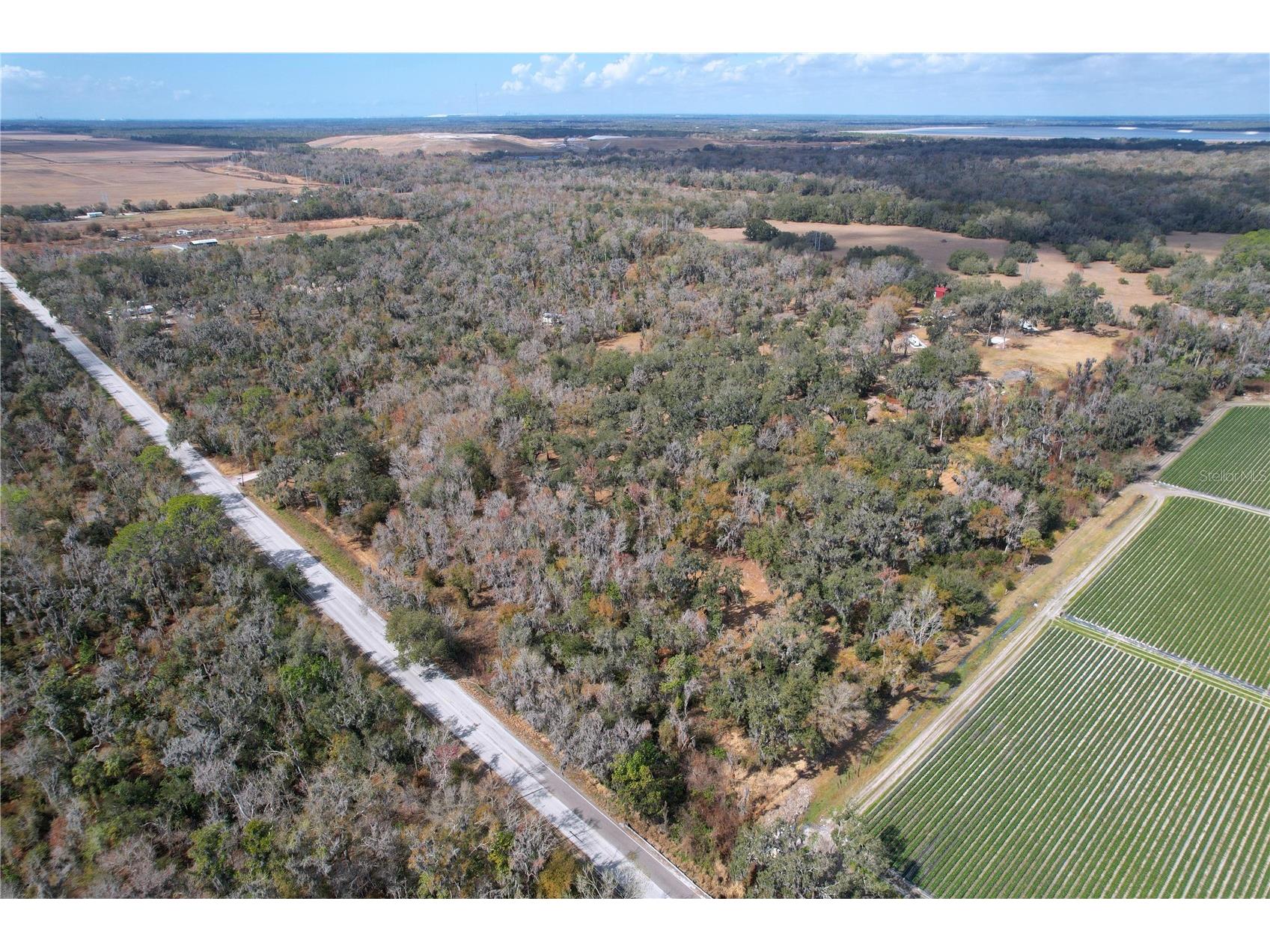 15210 Rough Diamond Ranch Road Lithia FL 33547 B4902190 image22