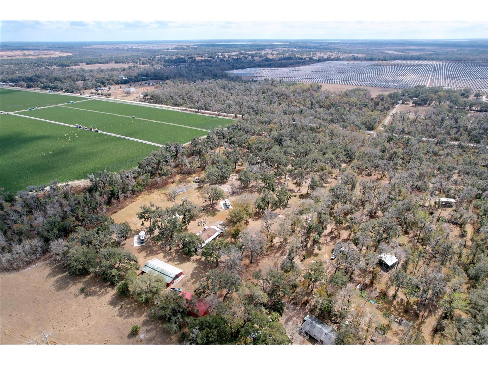 15210 Rough Diamond Ranch Road Lithia FL 33547 B4902190 image23