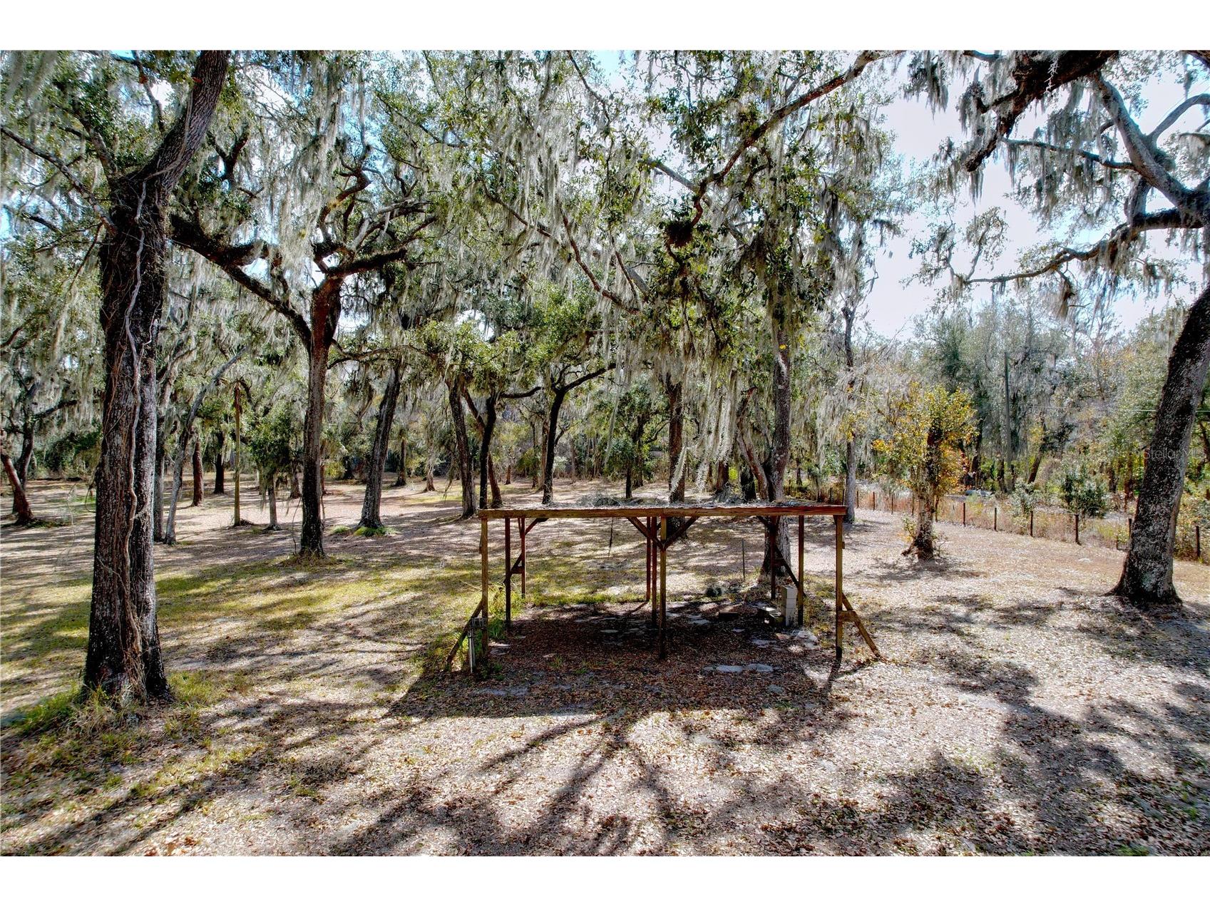 15210 Rough Diamond Ranch Road Lithia FL 33547 B4902190 image26