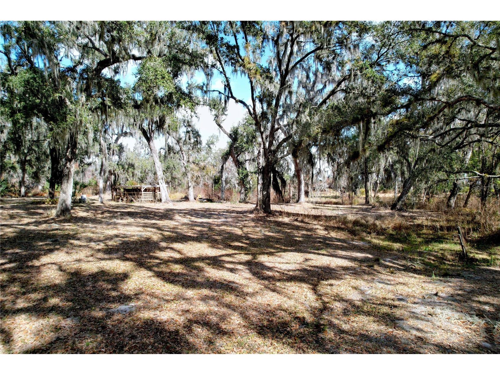 15210 Rough Diamond Ranch Road Lithia FL 33547 B4902190 image67