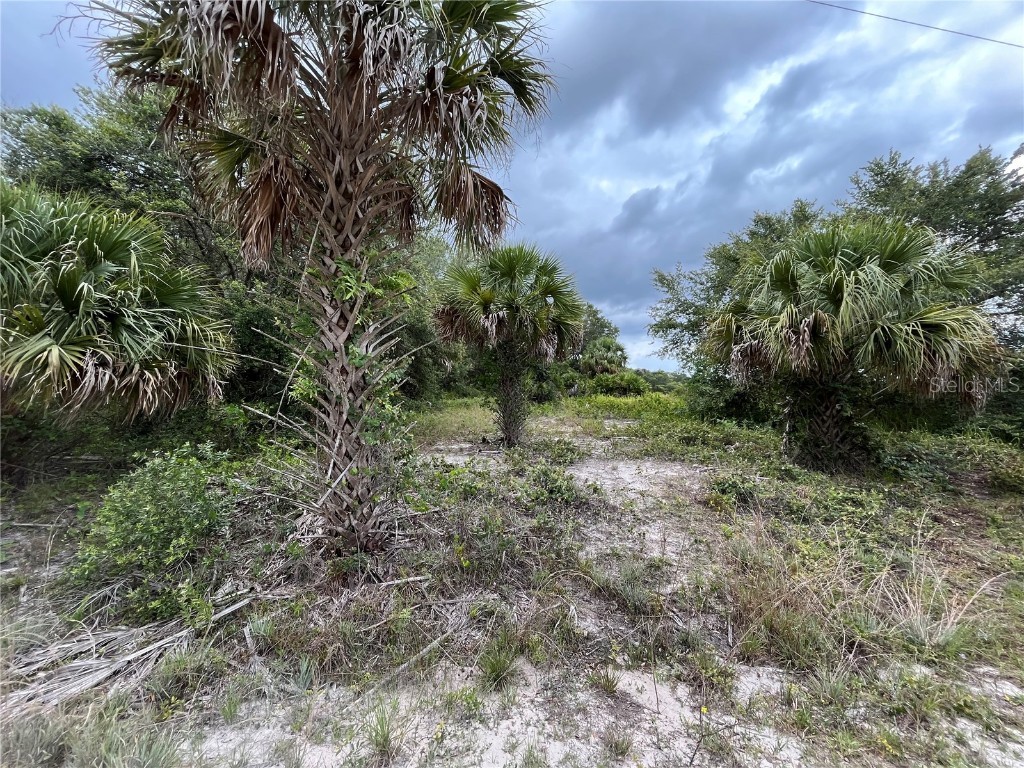 15211 NW 296th Street Okeechobee FL 34972 OK222816 image1