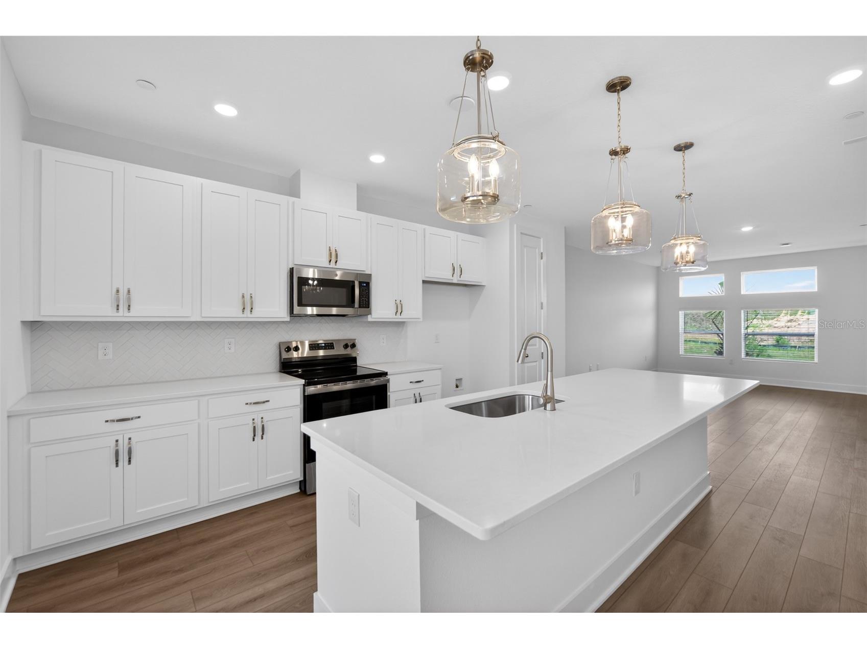 15213 Hamlin Park Drive Winter Garden FL 34787 TB8512228 image10
