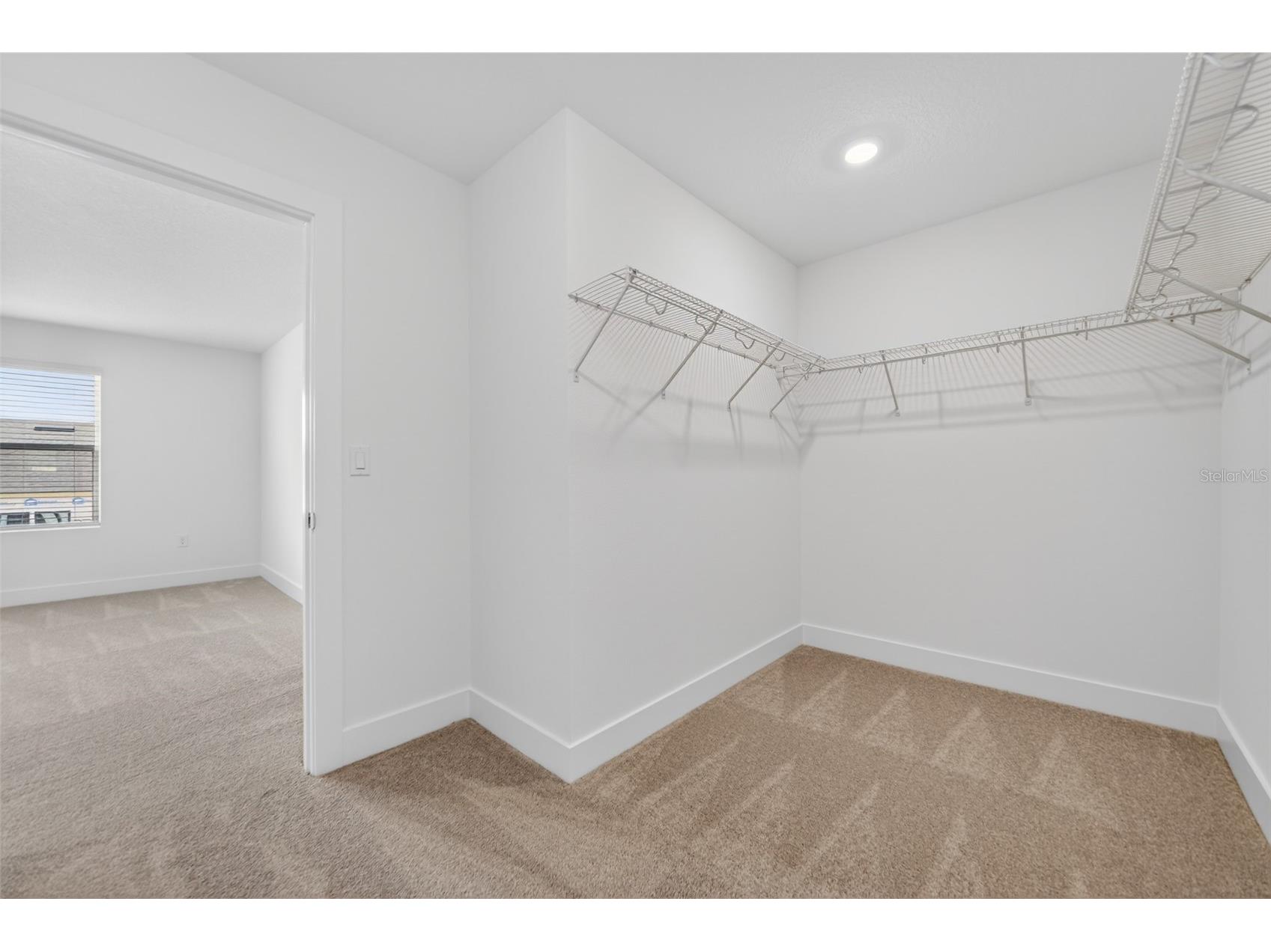 15213 Hamlin Park Drive Winter Garden FL 34787 TB8512228 image21