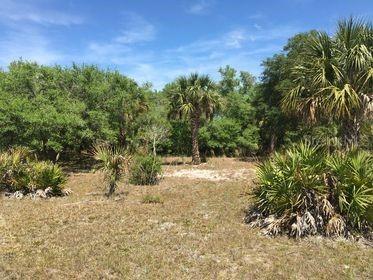 15214 NW 296th Street Okeechobee FL 34972 O6189446 image1