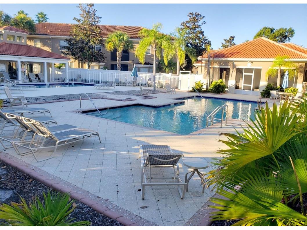 15215 Amberly Drive #208 Tampa FL 33647 TB8438640 image18