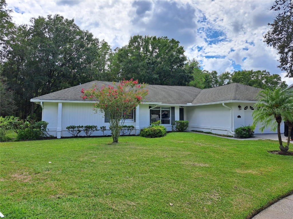 15217 Alexis Drive Tampa FL 33624 T3469686 image1