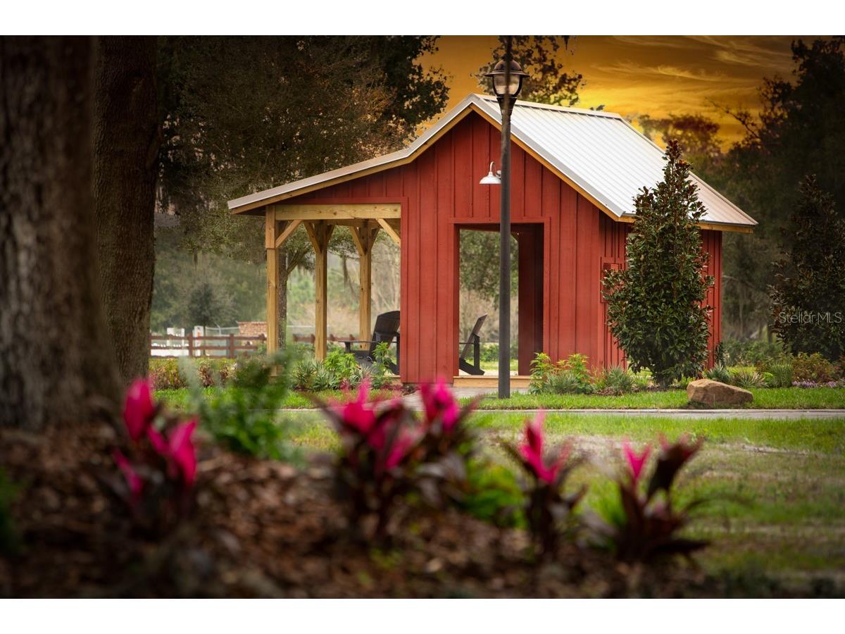 15217 Farm Stand Court Winter Garden FL 34787 O6422464 image53