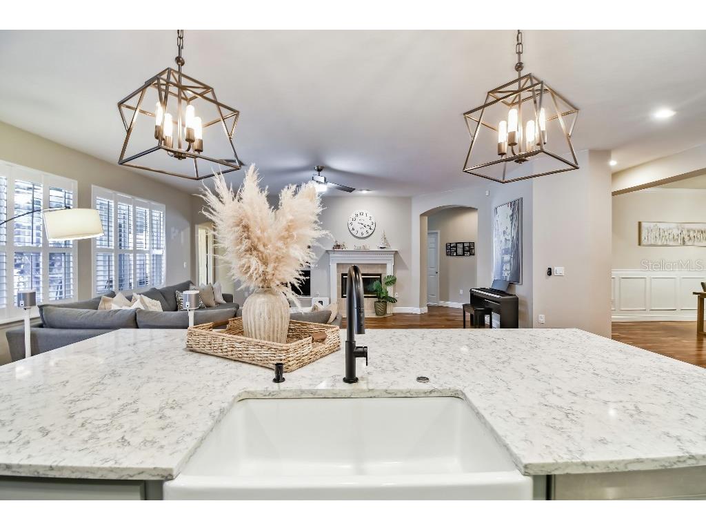 15217 Octavia Lane Odessa FL 33556 TB8398329 image19