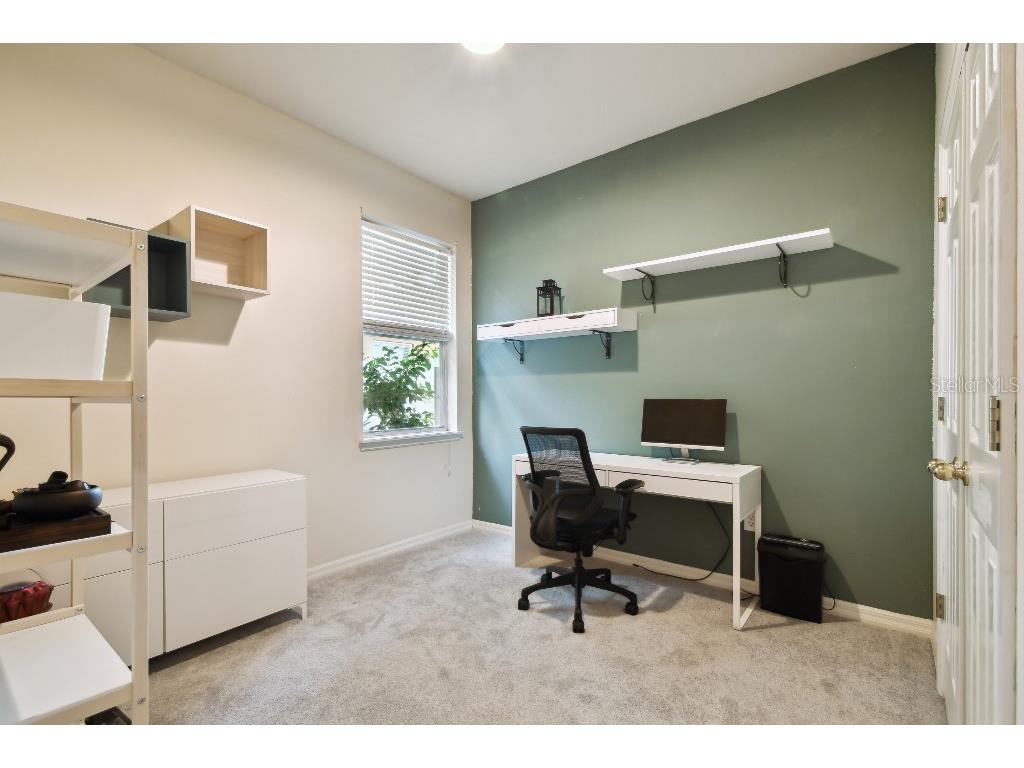 15217 Octavia Lane Odessa FL 33556 TB8398329 image30