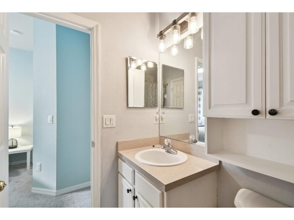 15217 Octavia Lane Odessa FL 33556 TB8398329 image38