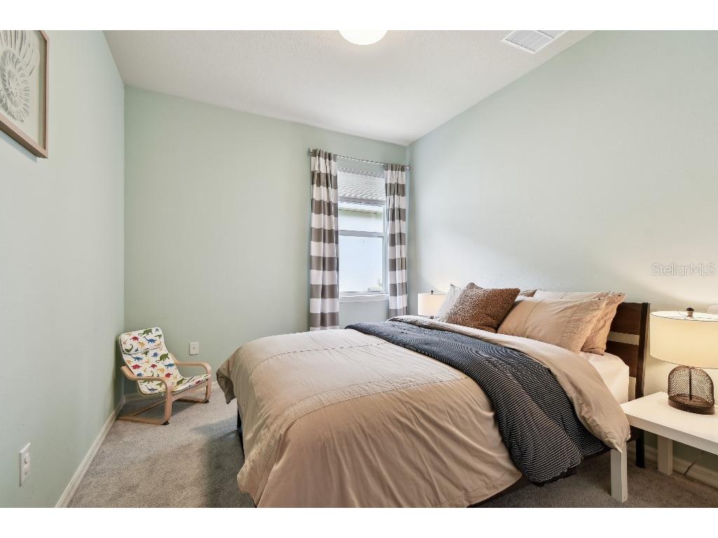 15217 Octavia Lane Odessa FL 33556 TB8398329 image39