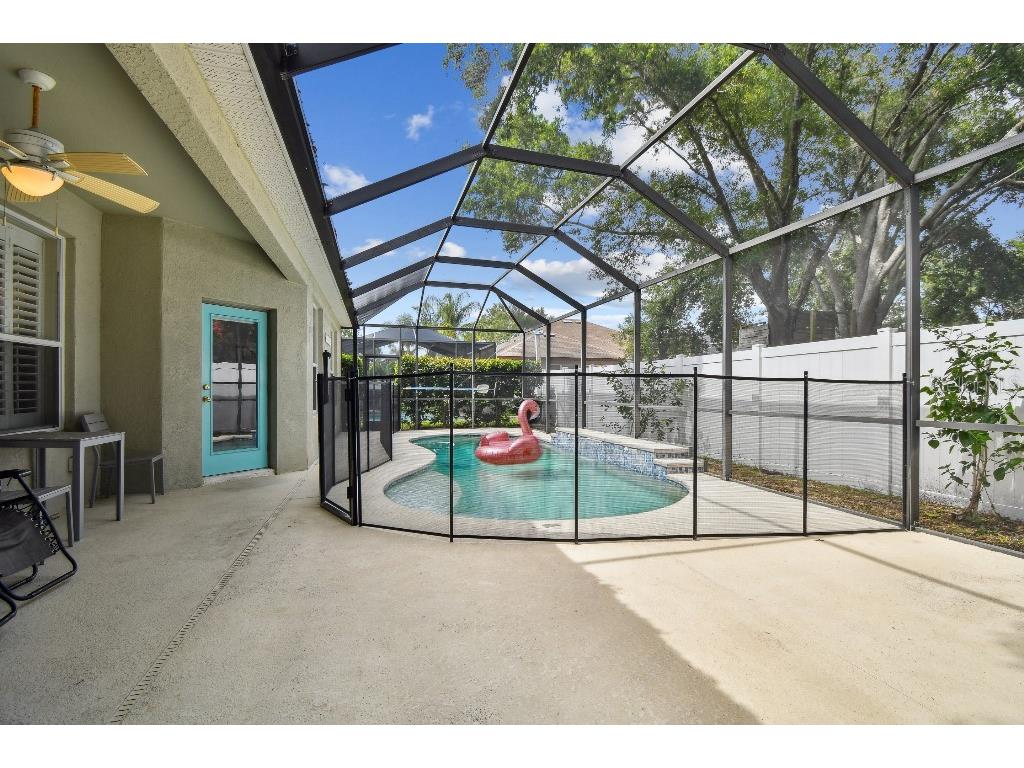 15217 Octavia Lane Odessa FL 33556 TB8398329 image45