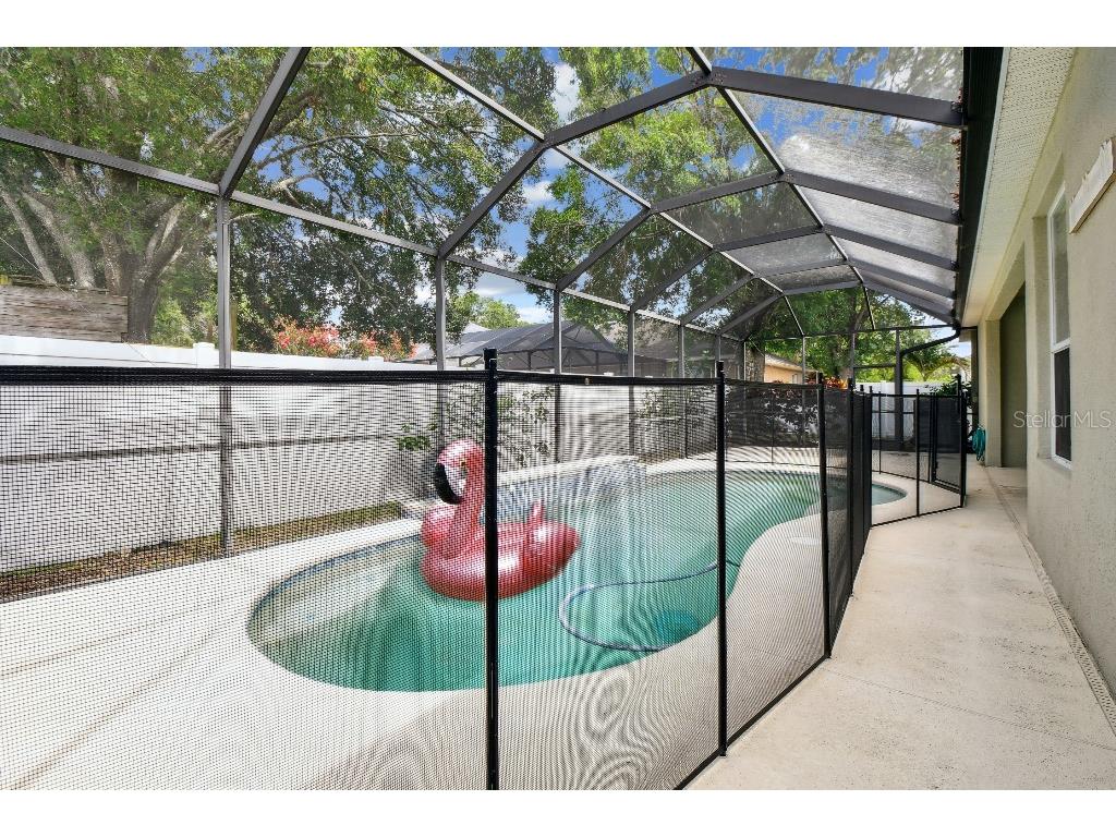 15217 Octavia Lane Odessa FL 33556 TB8398329 image47