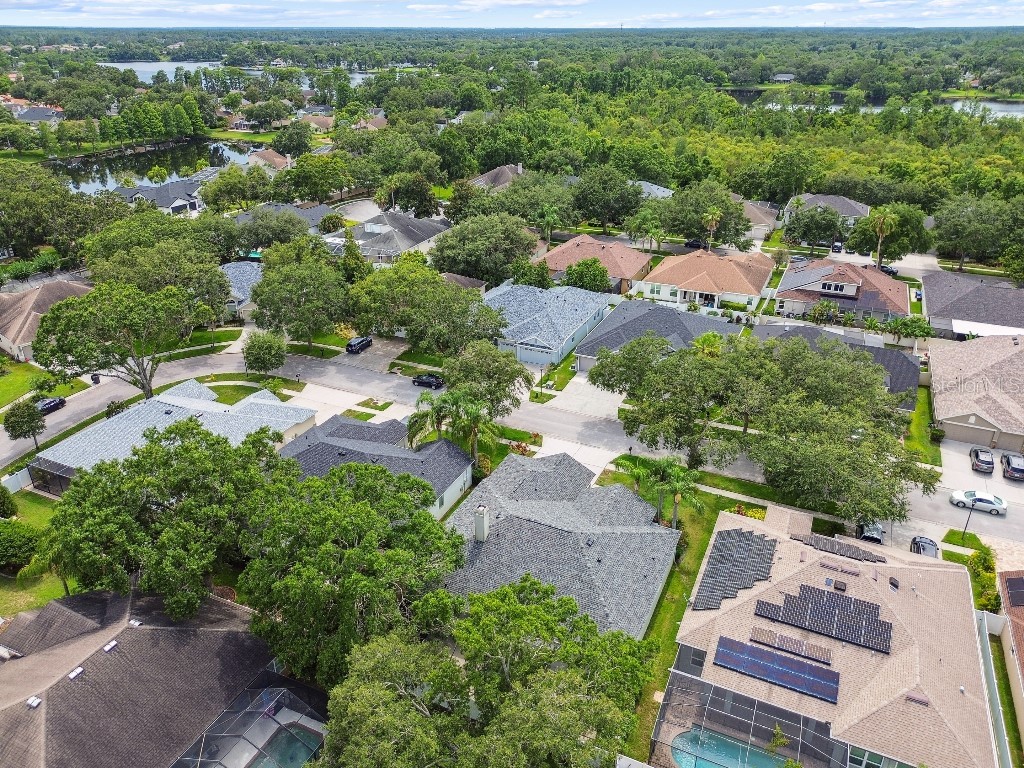 15217 Octavia Lane Odessa FL 33556 TB8398329 image50