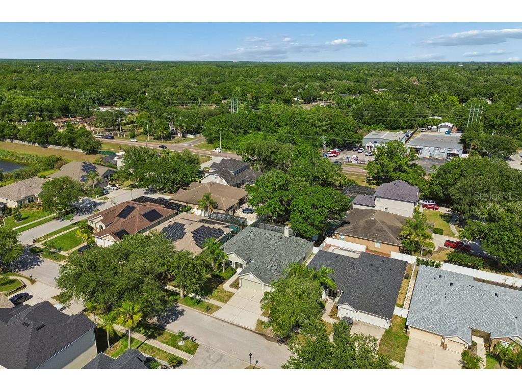 15217 Octavia Lane Odessa FL 33556 TB8505473 image49