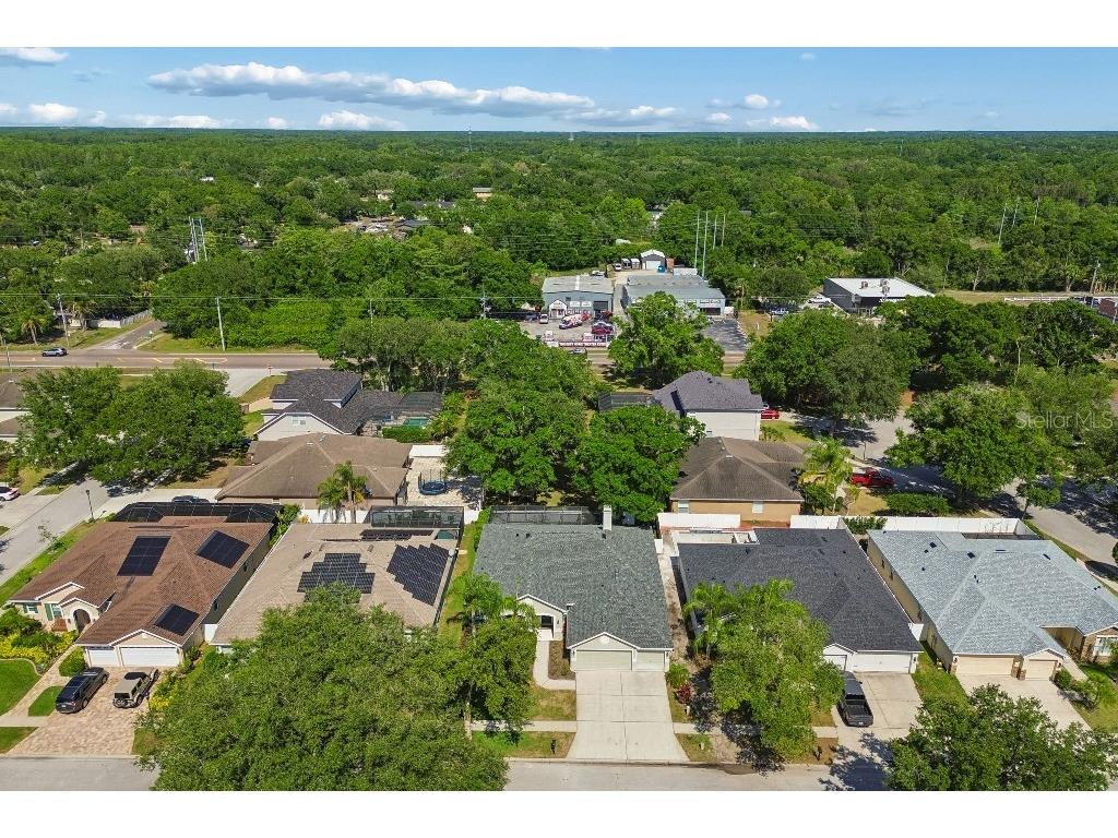 15217 Octavia Lane Odessa FL 33556 TB8505473 image50