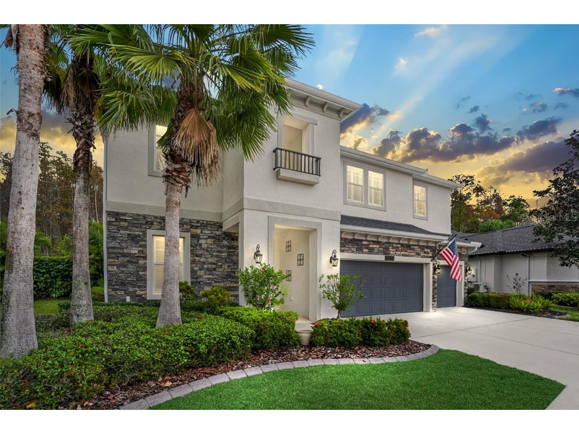 15217 Wind Whisper Drive Odessa FL 33556 T3488530 image1