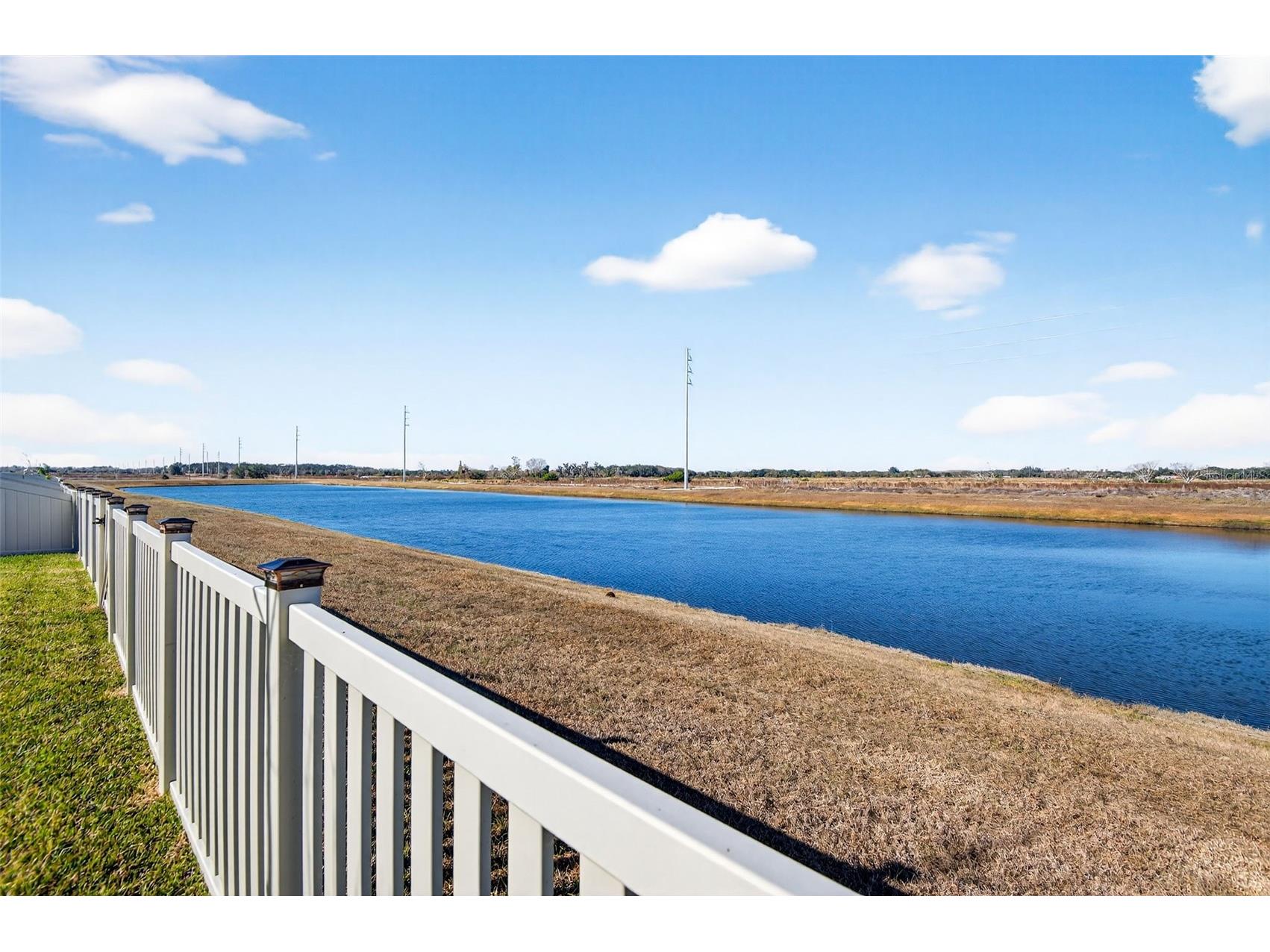 15217 Zircon Red Drive Wimauma FL 33598 TB8472974 image43