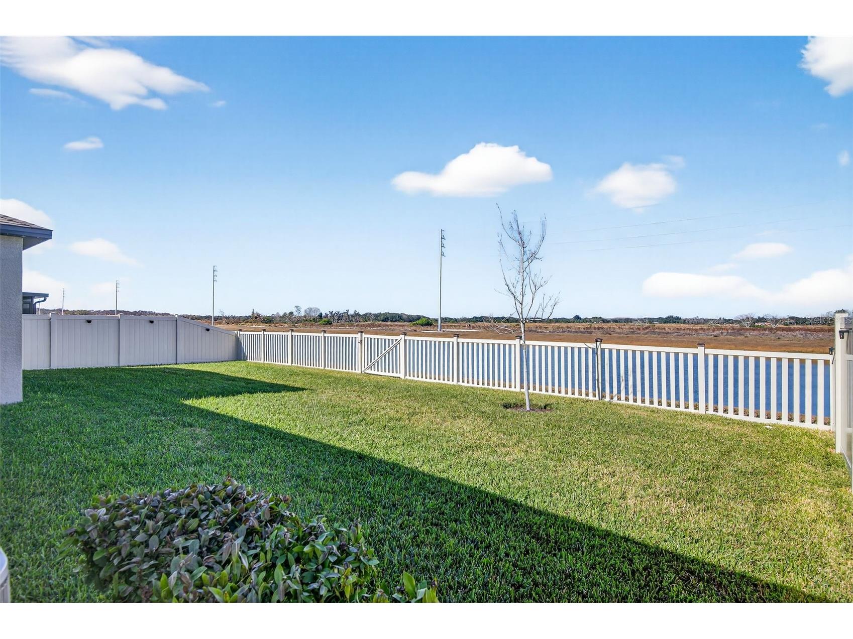 15217 Zircon Red Drive Wimauma FL 33598 TB8472974 image44