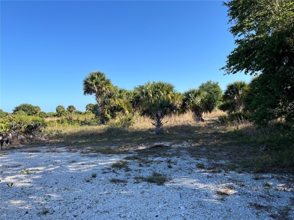 15218 NW 316th Street Okeechobee FL 34972 OK224003 image1