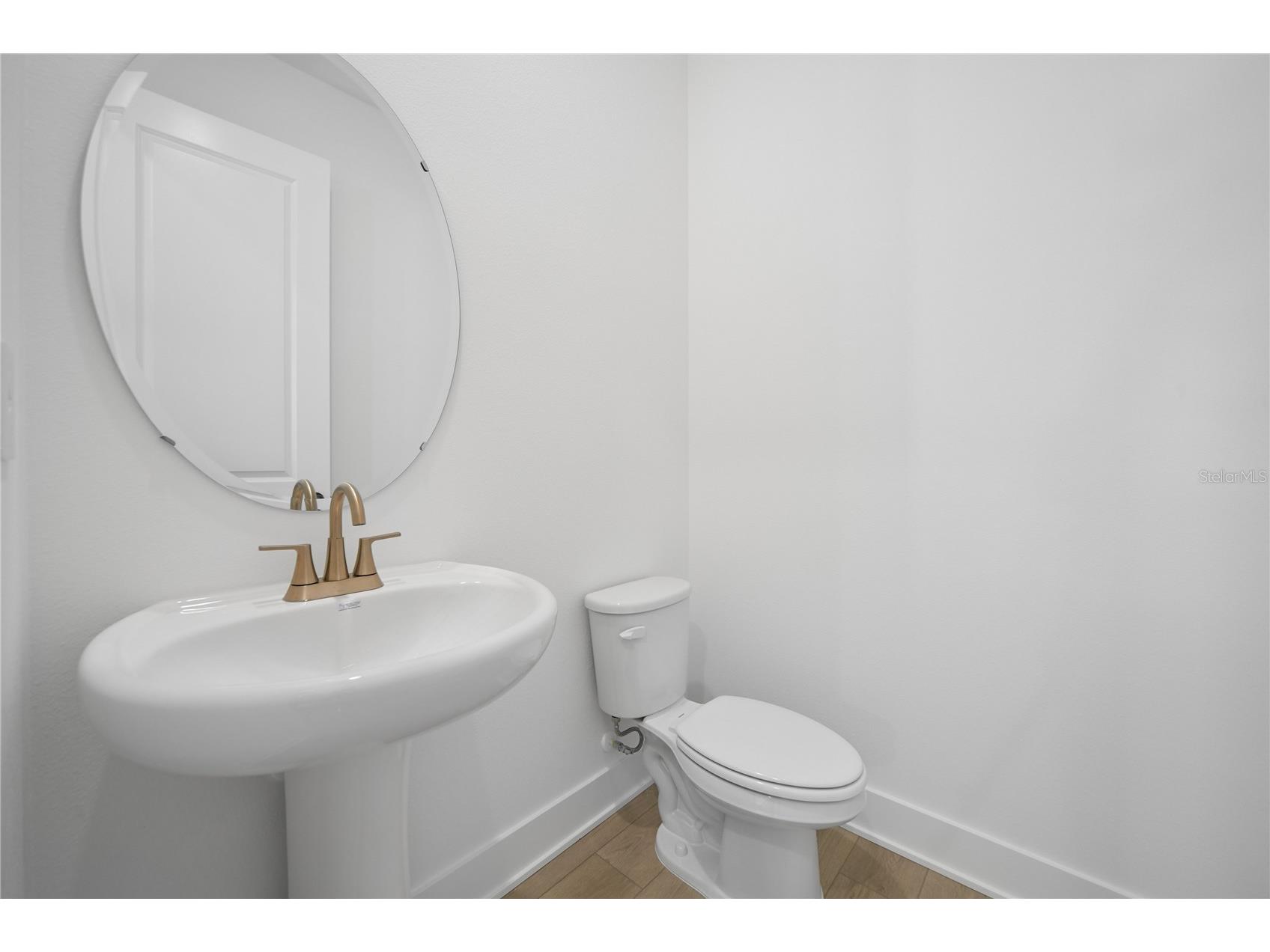 15219 Hamlin Park Drive Winter Garden FL 34787 O6421862 image9